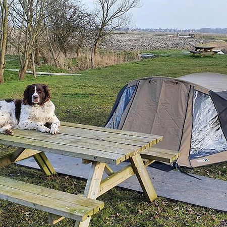 Basic 2P Tent Sotterum Hotel Cornwerd Exterior photo